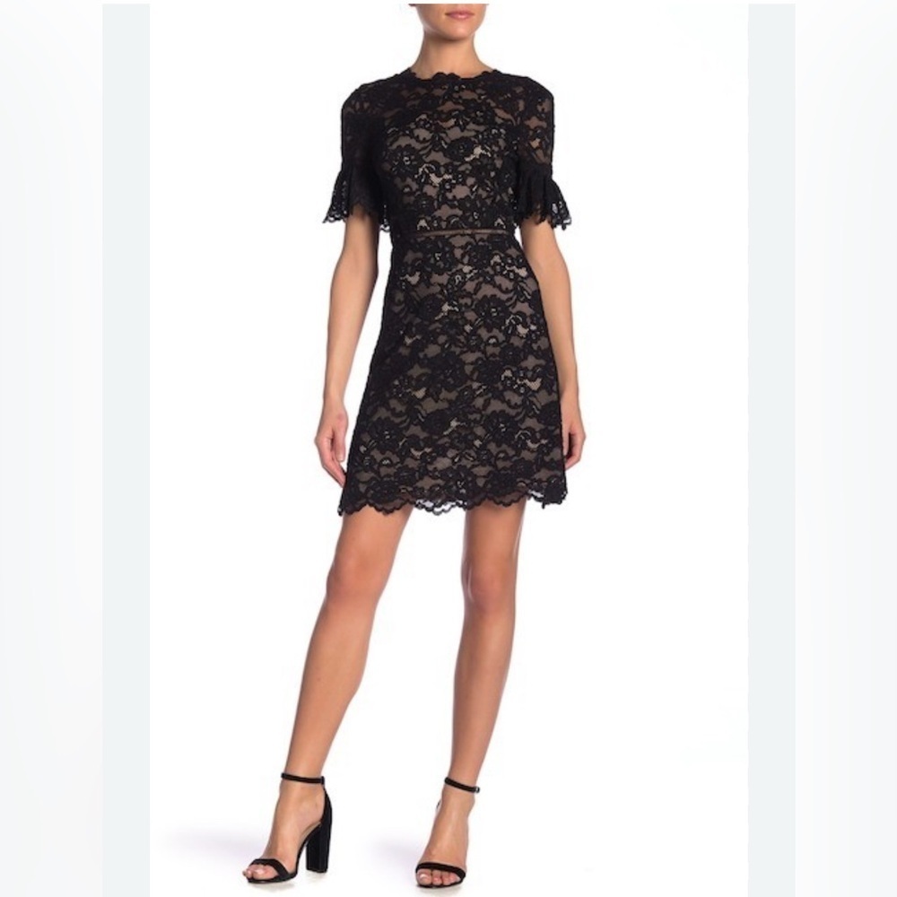 NWT Rebecca Taylor Black Lace Dress v back ruffle short sleeve size 8 - Picture 3 of 16
